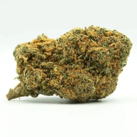 fiori-cbd-white-widow-1-indoor