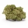cbd-flower-diamond-og-indoor-hydro-1 cbd-flower-diamond-og-indoor-hydro-1