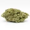 cbd-fiori-amnesia-us-indoor-hydro-1 cbd-fiori-amnesia-us-indoor-hydro-1