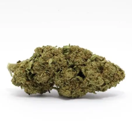 cbd-flower-bubble-gum-greenhouse-premium-1