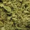cbd-flower-gelato-cake-greenhouse-premium-2 cbd-flower-gelato-cake-greenhouse-premium-2