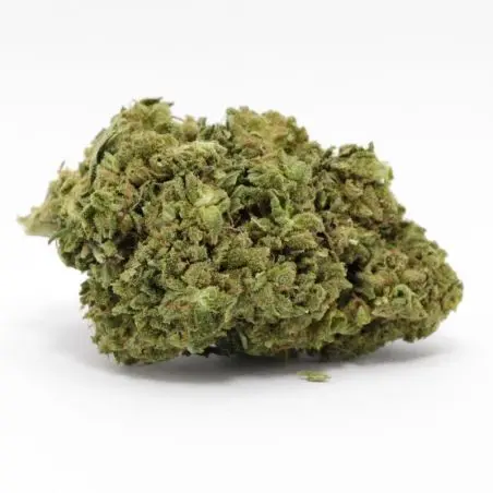 cbd-blume-tropisch-og-gewächshaus-premium-1