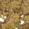 resina-cbd-bolha-azor-filtre-4x-micro resina-cbd-bolha-azor-filtre-4x-micro