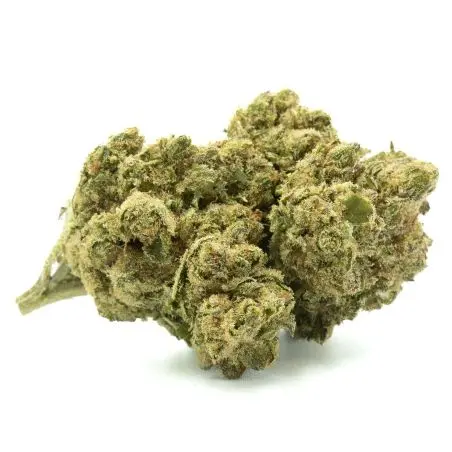 Blume-cbd-G-13-1