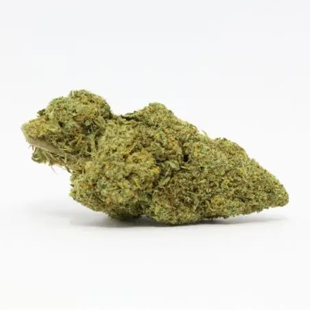 CBD-flower-orange-bud-indoor