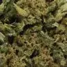 cbd-flor-hulk-estufa-premium-2 cbd-flor-hulk-estufa-premium-2