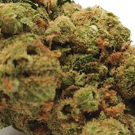 fleur-cbd-indoor-amnesia-us-top-premium-detail-elite-cbd