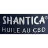 Shantica