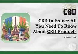 CBD In France: All You Need To Know About CBD Products (Complete Guide)